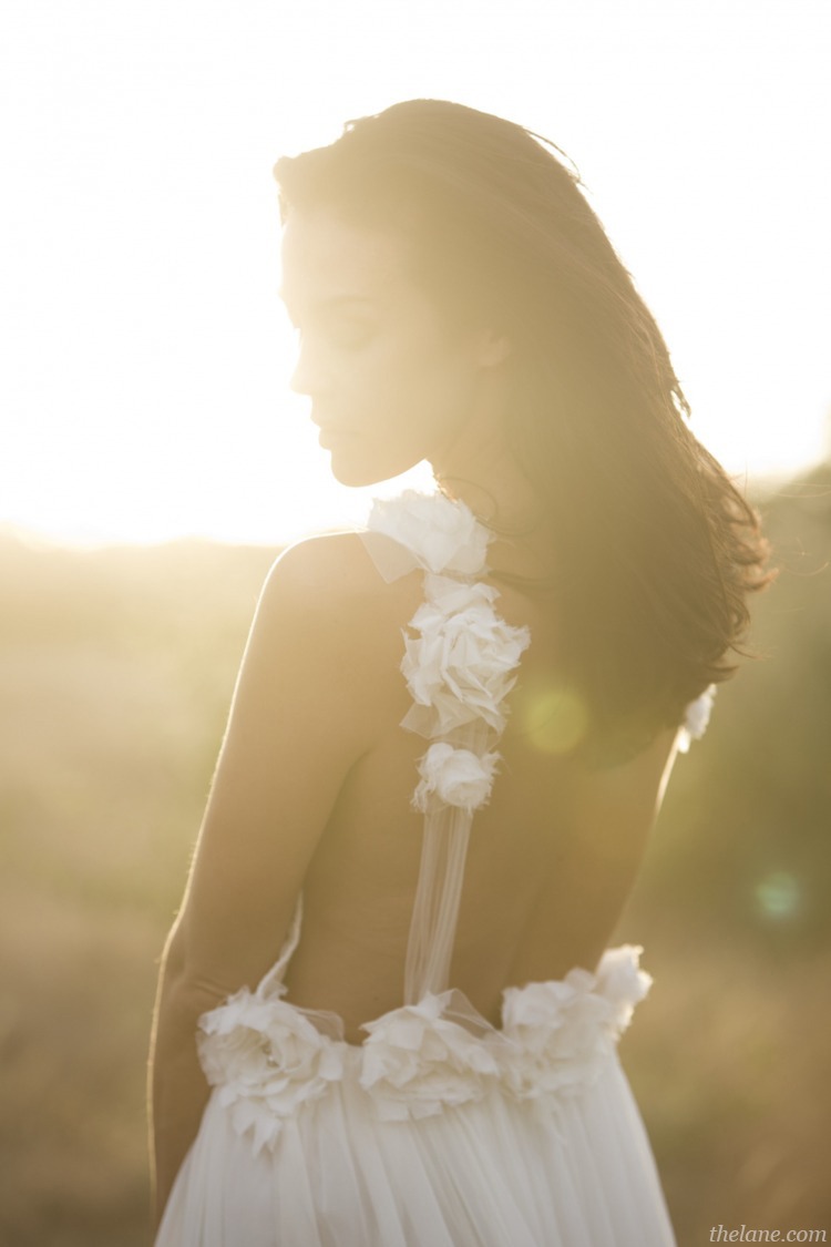 jellybeansandjealousy