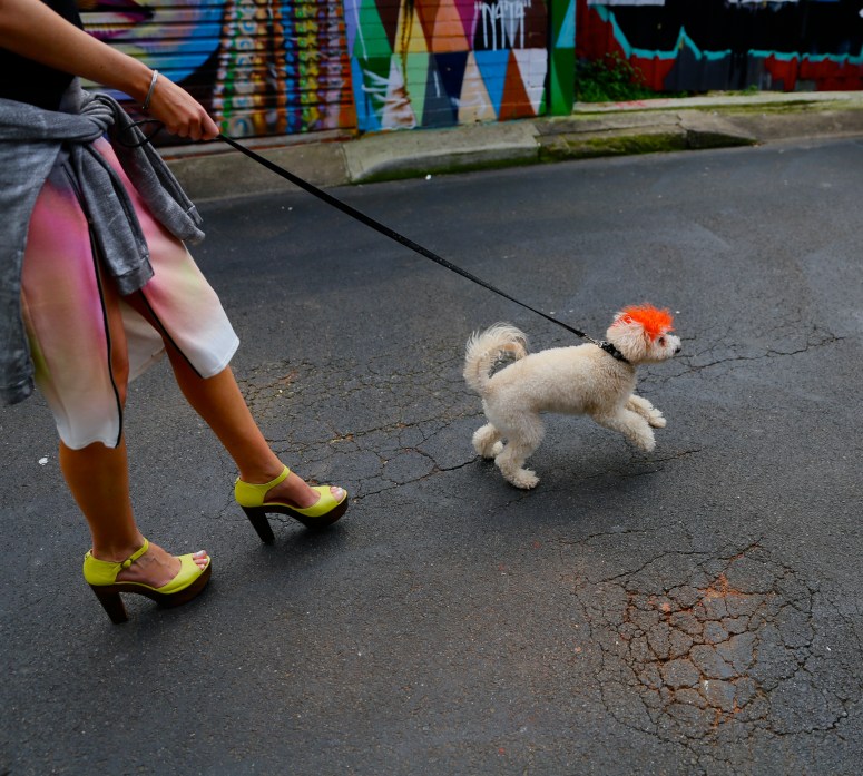 Skin Shoes, Staple The Label, Evil Twin, Country Road, El Minara, Karen Walker