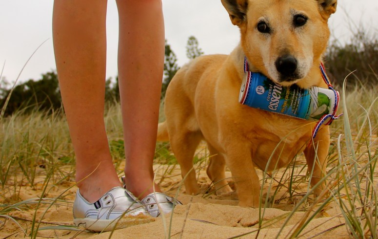 Jill WrightJT's Coconut Essence