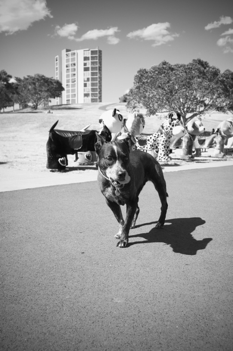 Jellybeans and Jealousy, Sydney