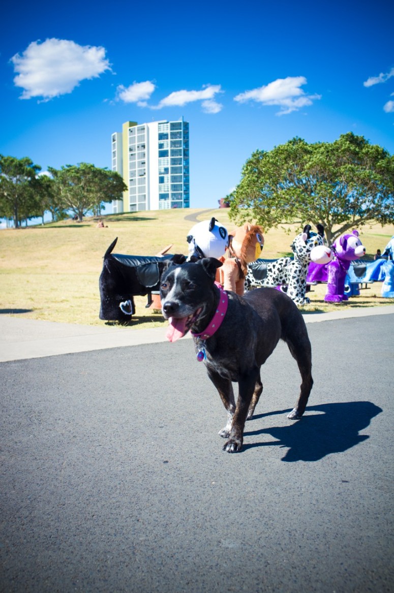 Jellybeans and Jealousy, Sydney